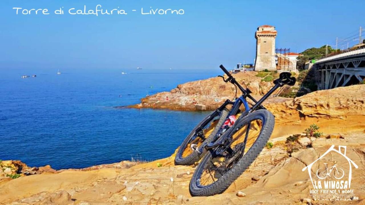 La Mimosa - Bike Friendly Home โรซินญาโน โซลเวย์ ภายนอก รูปภาพ